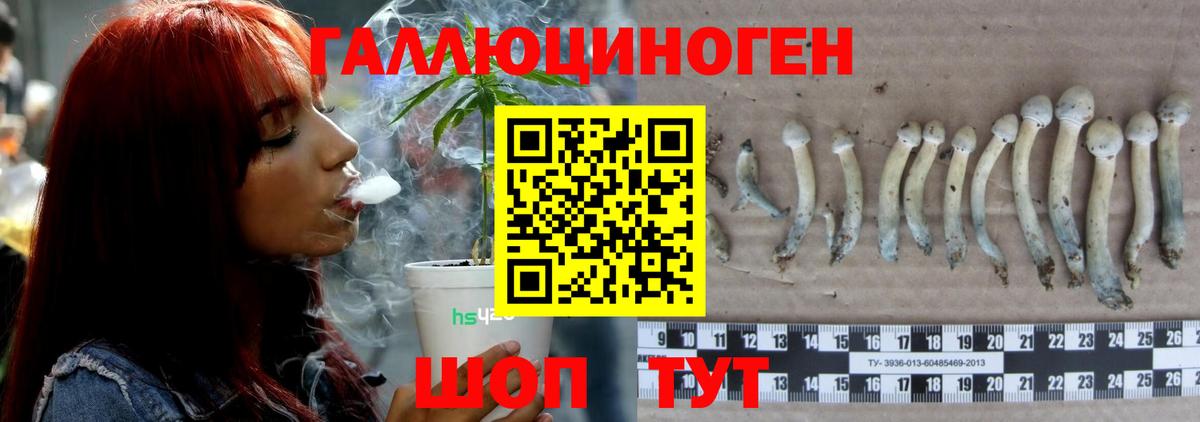 Галлюциногенные грибы Psilocybe  как найти закладки  Берёзовский  Вход с VPN 